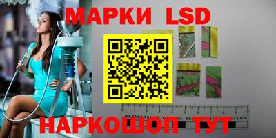 прущие грибы Кингисепп