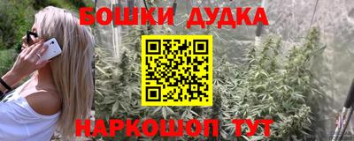 прущие грибы Кингисепп