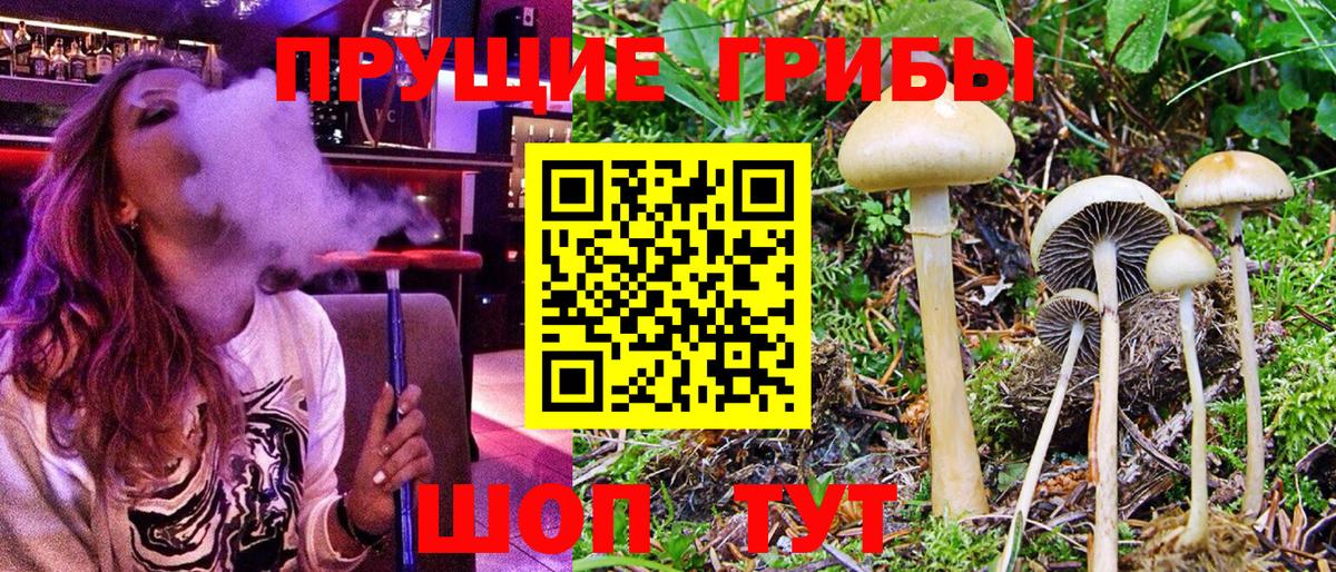 сколько стоит  Галлюциногенные грибы мухоморы  Псилоцибиновые грибы Magic Shrooms  Вход с VPN  Йошкар-Ола 