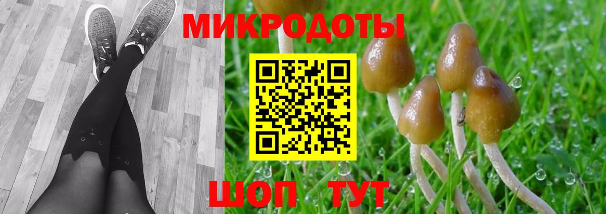 Псилоцибиновые грибы прущие грибы Йошкар-Ола